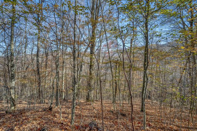 Lot 1 Timber Crest Dr, Roan Mountain, TN 37687