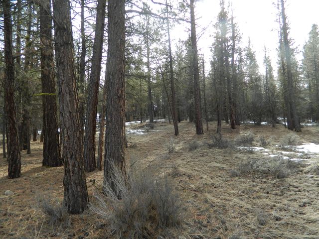 Lot 7 Mayberry Dr, Beatty, OR 97621