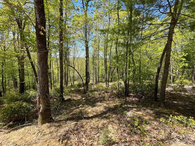Orchard View Trl, Spruce Pine, NC 28777
