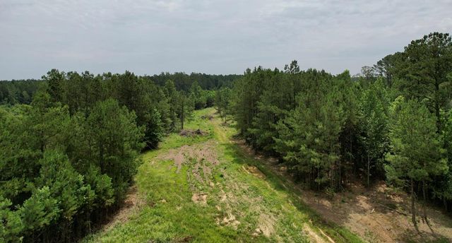 Chisholm Dr   SW, Bogue Chitto, MS 39629