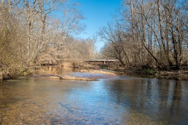 Fall River Rd, Leoma, TN 38468