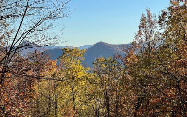 58M Mountain Harbour Dr, Hayesville, NC 28904