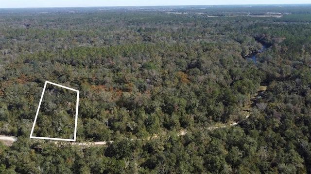 NE CHERVIL DRIVE, Lee, FL 32059