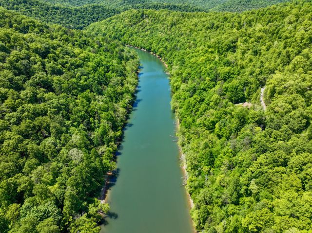 Crestwood Dr #133, Speedwell, TN 37870