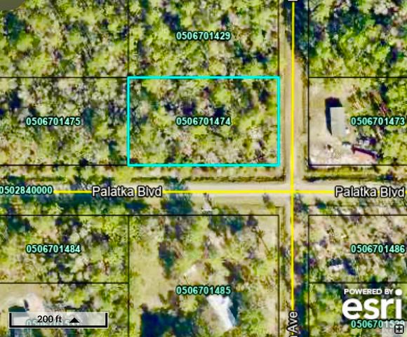 10575 Flikkema Ave, Hastings, FL 32145