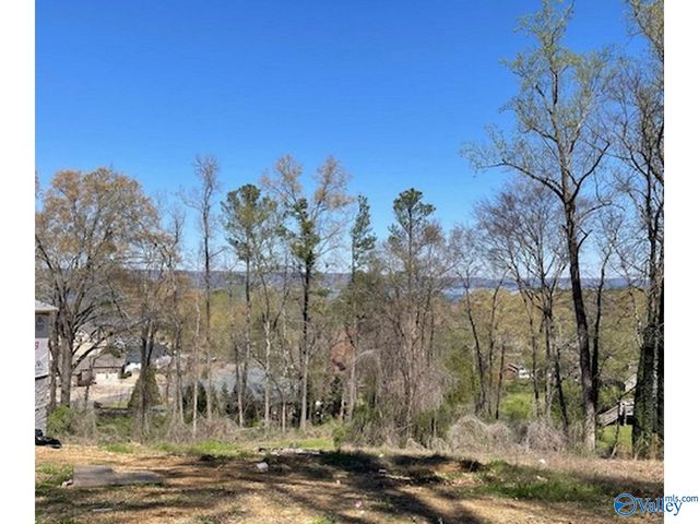 Lot 2 Hickory Hill Dr, Guntersville, AL 35976