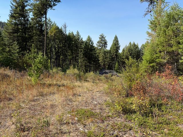 Saint Peters Creek Rd, Malo, WA 99150