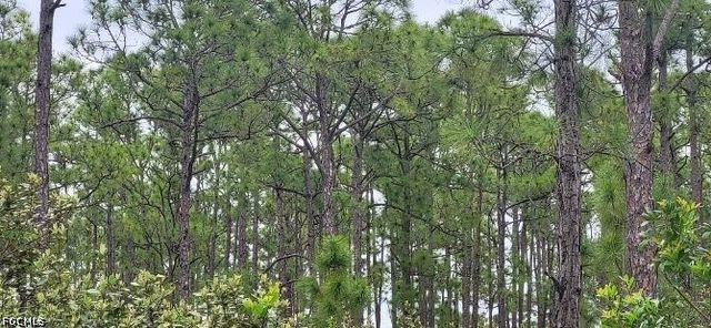 27274 Green Gulf Blvd, Punta Gorda, FL 33955