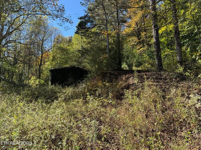 936 Stinking Creek Rd, La Follette, TN 37766