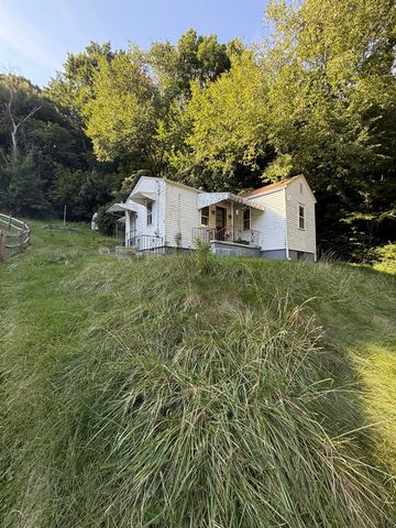 1110 Tevebaugh Hollow Rd, Freedom, PA 15042