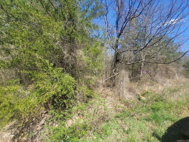 Diamondback Lane Parcel 60410 #-00-0062, Hartford, AR 72938