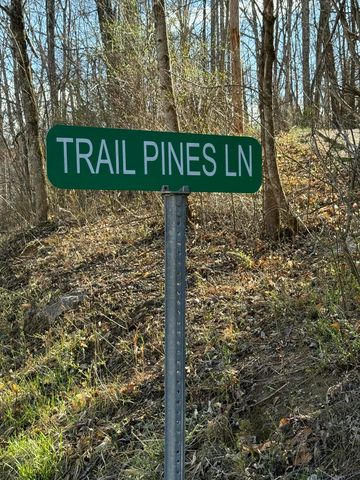 Trail Pines Ln, Frenchburg, KY 40322