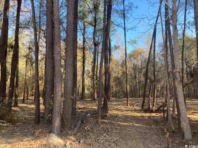 Lot 8 Valley Forge Rd., Aynor, SC 29511