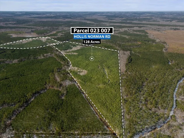 0 Hollis Norman & Callaway Rd., Washington, GA 30673