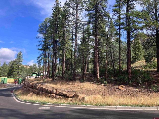 53 Snowdrop Ct. (Lot 140), Durango, CO 81301