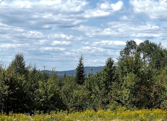 28 Bushey Road, Greenville, ME 04441