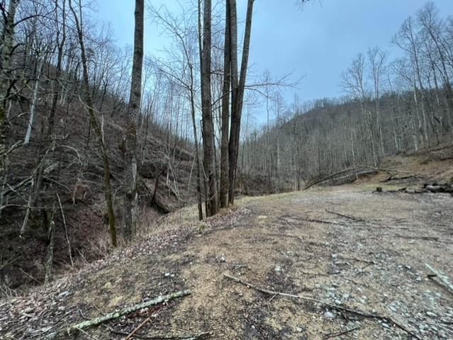 Golf Course Rd, Wheelwright, KY 41669