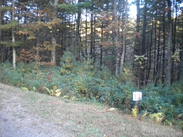 Lot 12 Pine Chase, Glade Valley, NC 28627