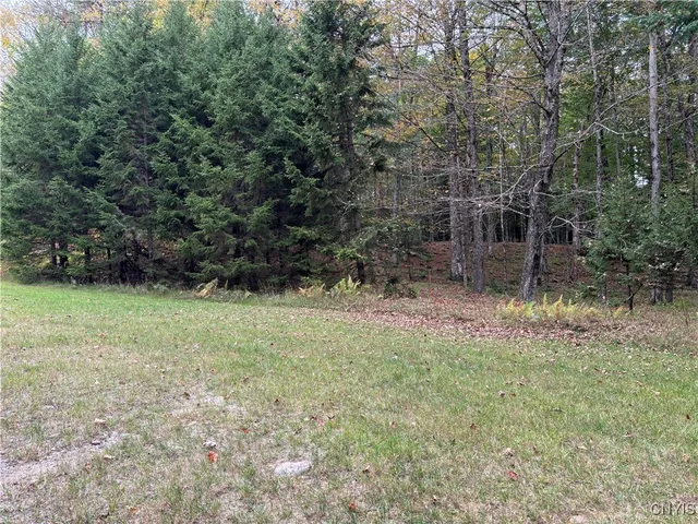Deer Meadows Rd, Old Forge, NY 13420