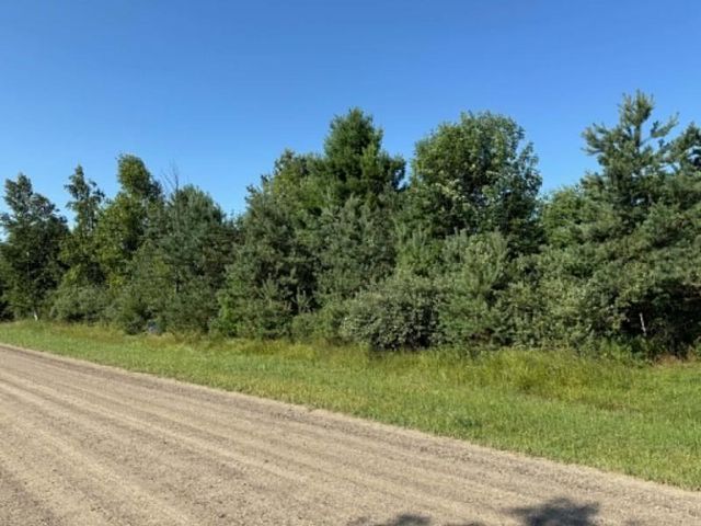 Bellaire Drive Lots 167 #&-168, Harbor Beach, MI 48441