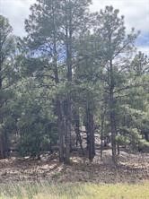 45 Silver Feather Trl, Pecos, NM 87552