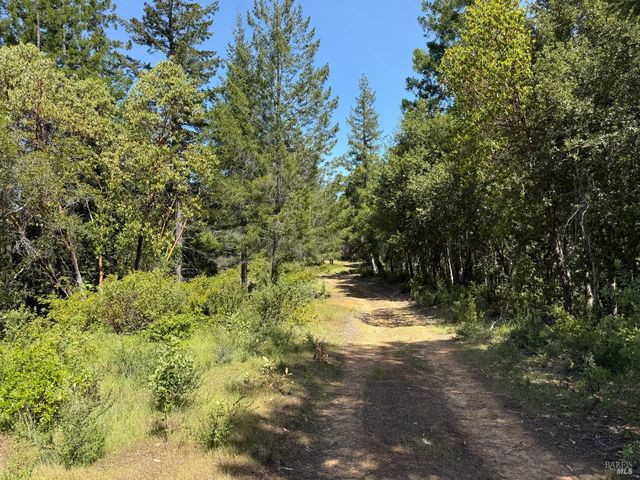 0 Moore Homestead Road, Philo, CA 95466