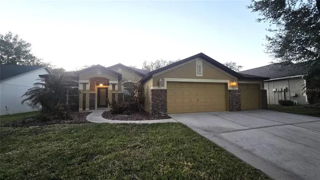 14818 Heronglen Dr, Lithia, FL 33547