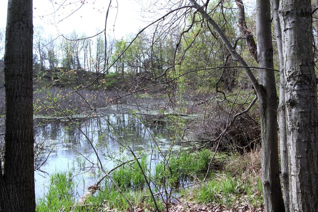 V/l Frost Rd, Portland, MI 48875