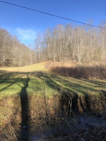 Phillips Hollow Rd, Westmoreland, TN 37186