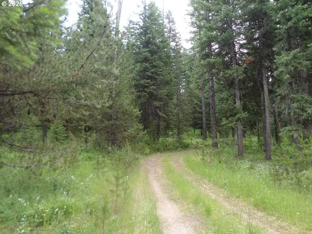 Akers Butte Rd, Wallowa, OR 97885