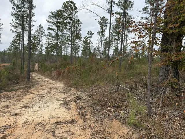 County Road 472, Meridian, MS 39301