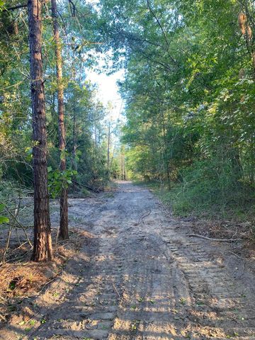 TRACT 464th Acres, Poplarville, MS 39470
