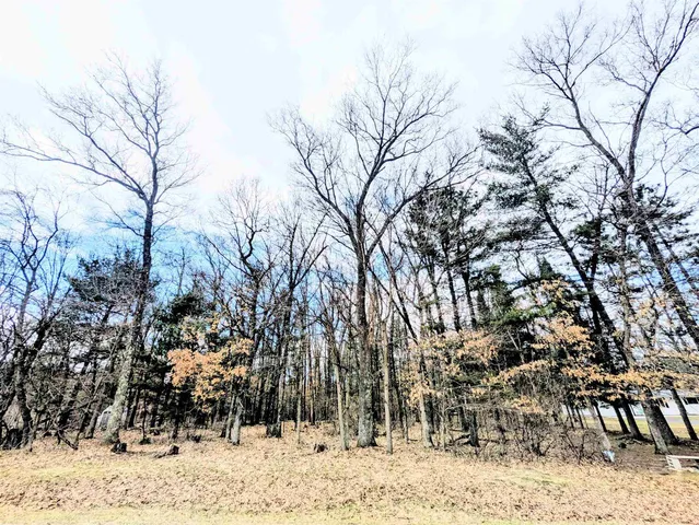 0 11th Avenue #5, Friendship, WI 53934