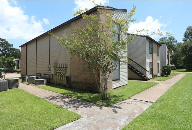 808 Charles Barker Ave #3729f31d5, Cleveland, TX 77327