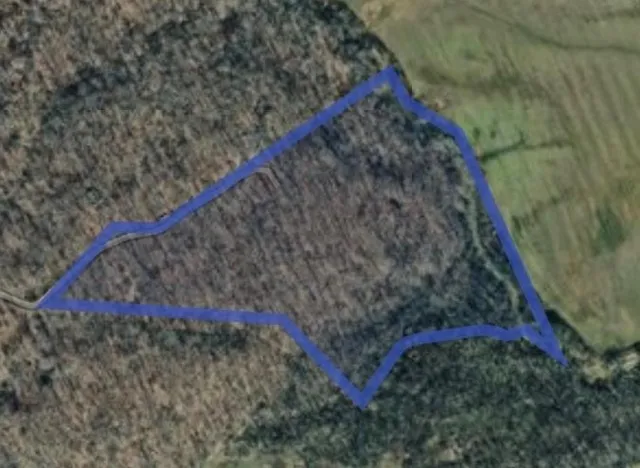 Mount View Estates Ln, Holladay, TN 38341