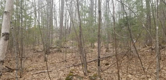 Lot 49 Adams Road, Chesterville, ME 04938