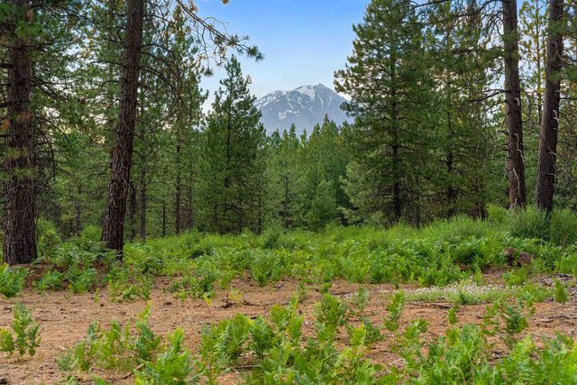 LOT Timber Country Ranch Rd   #A, McCloud, CA 96057