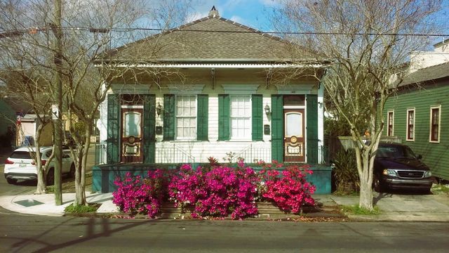 447 Elmira Ave, New Orleans, LA 70114