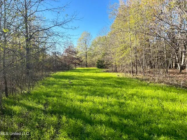 W  Mound Bayou Rd, Mound Bayou, MS 38762