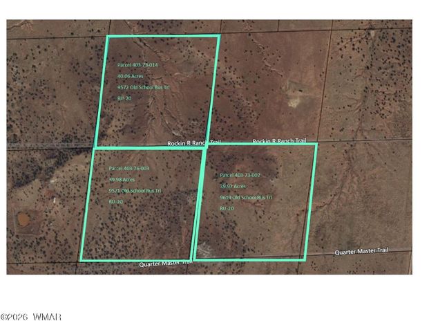 9572 Old School Bus Trl, Snowflake, AZ 85937