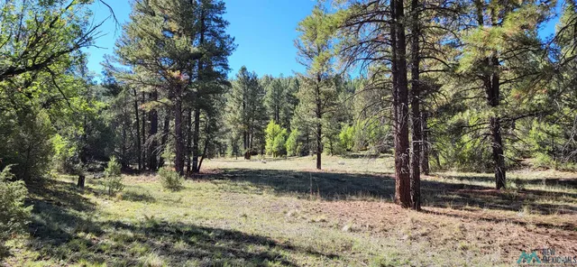 Sawmill Canyon Rd, Ramah, NM 87321