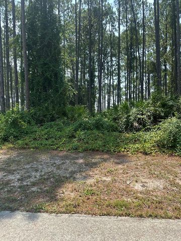 170 Royal Tern Way, Carrabelle, FL 32322