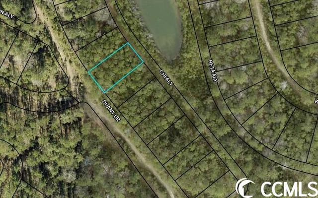 TBD Duany Dr., Georgetown, SC 29440