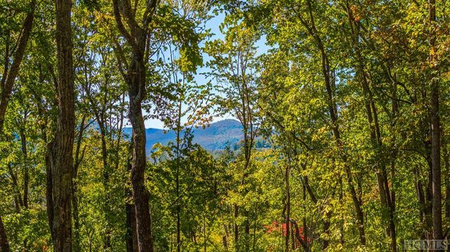 Lot 89 Black Oak Drive, Cashiers, NC 28774