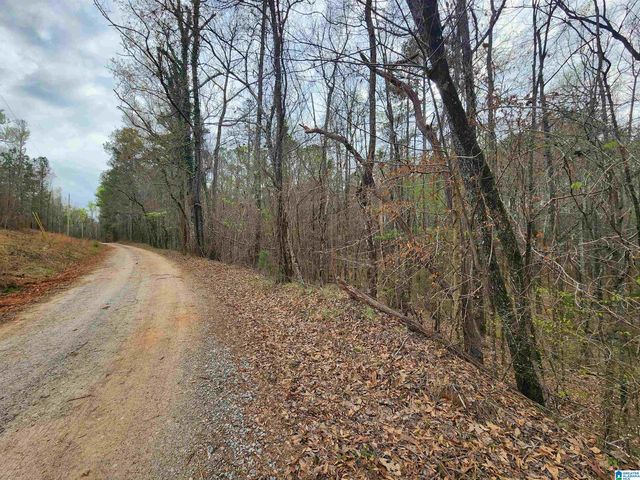 County Road 141 #1, Goodwater, AL 35072