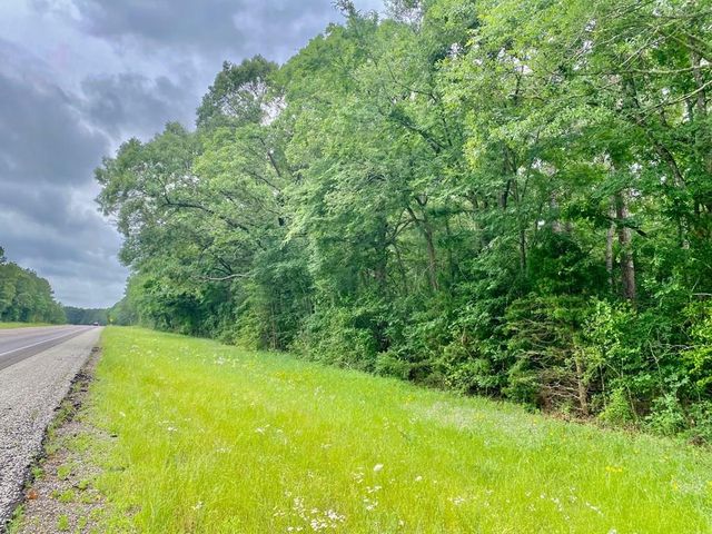 Tract 3A S  State Highway 19 #S, Elkhart, TX 75839