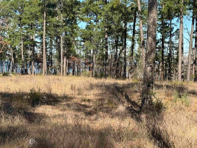 Private Rd   #6028, Brookeland, TX 75931