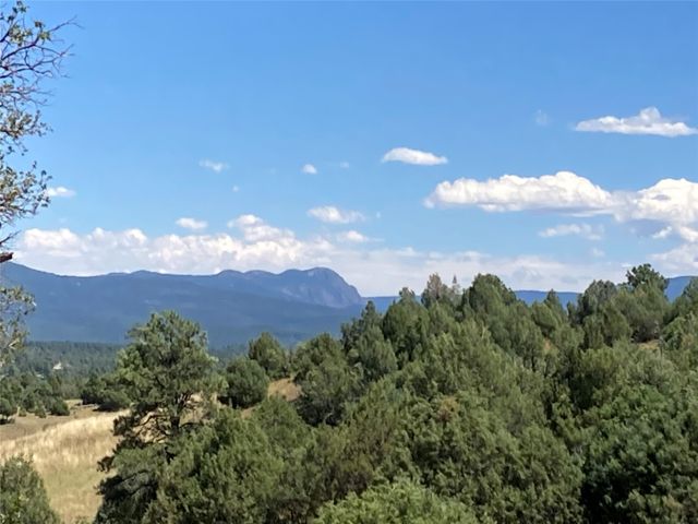 Willow Way  #D, Chama, NM 87520