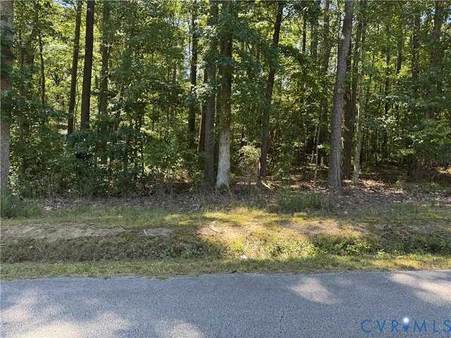Virginia Ave, Alberta, VA 23821