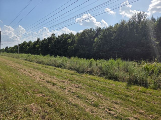 Highway 171, Ragley, LA 70657